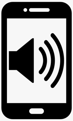 Speaker or Mic Issue